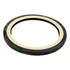 Retentor Virabrequim Traseiro 1757903