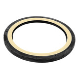 Retentor Virabrequim Traseiro 1757903