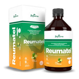 Reumatel C Cloreto De Magnésio Pa Supraervas 500ml