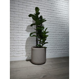 Revestimento Tijolinho De Gesso Tipo Brick 1m2