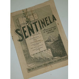 Revista A Sentinela Agosto De 1951 Testemunhas De Jeová