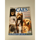 Revista Anuario Caes 2005