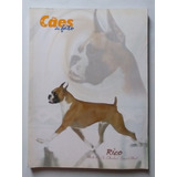 Revista Cães De Fato Ano 9 N 33 34