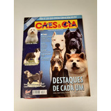 Revista Cães E Cia 359 Destaques