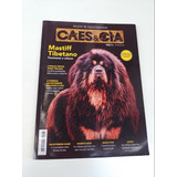 Revista Cães E Cia 491 Mastiff