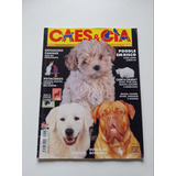 Revista Cães E Cia Poodle Kuvasz