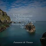 Revista De Rápidos Rítmicos