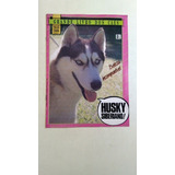 Revista Grande Livro Dos Cães 7 Husky Siberiano