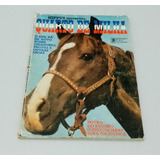 Revista Hippus Edicao Especial