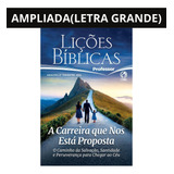 Revista Lições Bíblicas 2 trimestr Adulto Professor Ampliada