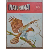 Revista Naturama Nº 33