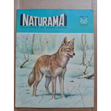 Revista Naturama Nº 41