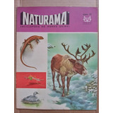 Revista Naturama Nº 42