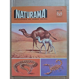 Revista Naturama Nº 50 - Editora Codex - 1966