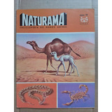 Revista Naturama Nº 50