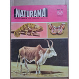Revista Naturama Nº 56