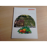 Revista Panorama 253 General