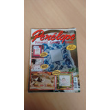 Revista Penélope 17 Ponto Cruz Decoração Bordado 829f