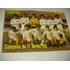 Revista Placar 537 Só Poster Santos Campeão Turn 1980 Tabela