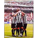 Revista Poster Botafogo Campeao