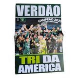 Revista Poster Palmeiras Tri