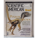 Revista Scientific American Brasil 11   Penas De Dinossauros