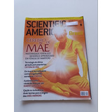 Revista Scientific American Brasil 45 Cérebro