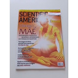 Revista Scientific American Brasil Cérebro De