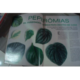 Revista Sitios E Jardins 50 Entradas Portoes Aves Migram