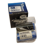 Ribbon Zebra 800015 101