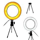 Ring Light Iluminador LED Tripe Usb Luz Quente Fria Mesa Portatil Controle