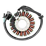 Road Passion Bobina De Estator Para Kawasaki EX300 Ninja 300 2013 2017 EX300 Ninja 300 ABS 2013 2017
