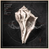 Robert Plant Lullaby And The Ceaseless