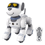 Robo Brinquedo Para Animal
