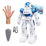 Robo Inteligente Cady Wida