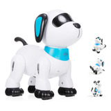 Robot Stunt Music Dog