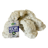 Rocha Caverna Média Mbreda Esconderijo Para Peixes