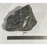Decorativa