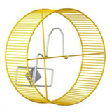 Chinchila