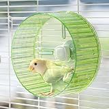Roda De Corrida Silenciosa De Papagaio De 17 3 Cm Roda De Exercícios De Papagaio Pássaros Papagaios Tartarugas Hamsters Roda Silenciosa De Animais Pequenos Verde 