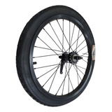 Roda Traseira Aro 20 Pneu Camara Cubo Contra Pedal