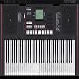 Roland E x10 