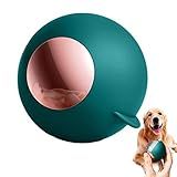 Rolo Fiapos Reutilizável Rolos Fiapos Gel Lavável Para Cabelo Animal Estimação Rolo Removedor Pelos Animais Estimação à Prova Poeira Para Depilação Cães E Gatos