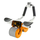 Rolo Roda Abdominal Exercício Físico Musculo Braço Abdômen