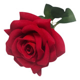 Rosa Aveludada Rosa De