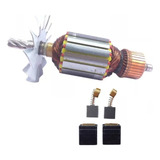 Rotor porta Escova carvão Serra B 3610 220v Skil F000605186