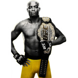 Round 5 Anderson Silva