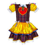 Roupa De Festa Junina Feminina Infantil Caipira Rodado Novo 