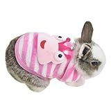 Roupa De Inverno Quente De Lã Coelho Coelho Fofo Animal Pequeno Porquinho Da índia Chinchila Furão Anjo Acessórios Roupa Para Hamster Furão Rato Porquinho Da índia Gato Gatinho Cachorro Filhote E