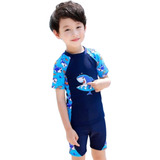 Roupa De Praia Infantil Menino Conjunto